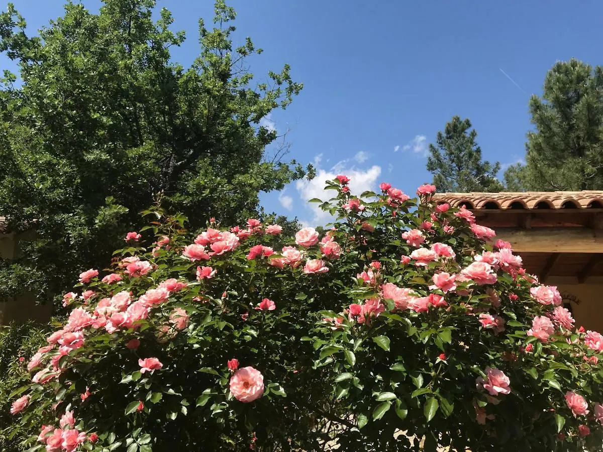 Le Clos Des Cigales Roussillon  France